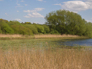 Beautiful late spring sunshine over Pickmere Lake, Knutsford, Cheshire, UK
