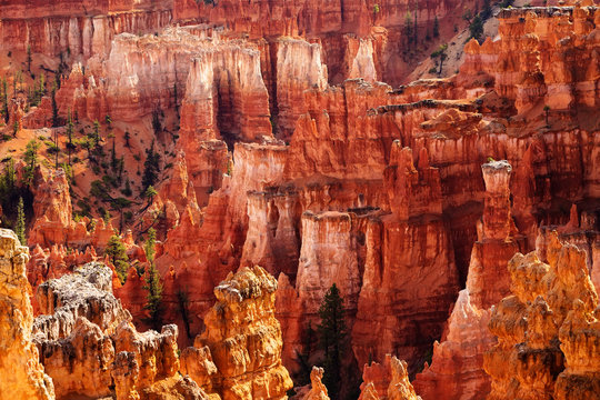 Landscape of Bryce canyon National Park, Utah, USA