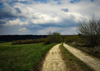 Fototapeta na wymiar Path through field