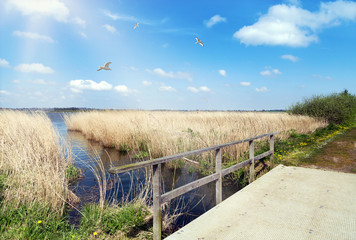 Schleiufer bei Schleswig in Schleswig-Holstein
