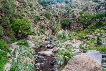 Quebrada del Colorado canyon near Cafayate, Argentina