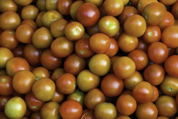 Closeup Tomato Top View