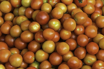 Closeup Tomato Top View