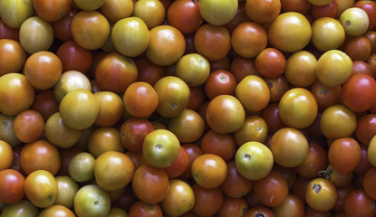 Closeup Tomato Top View