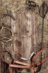 Set of horse vintage equipment on wooden background