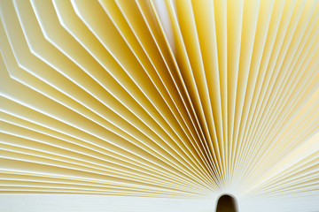 Sheets of paper