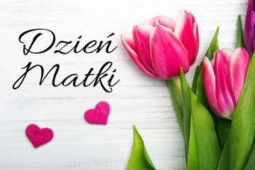 Mother's day card with Polish words: Dzien Matki - Mother's Day. Pink tulip on white wooden background.