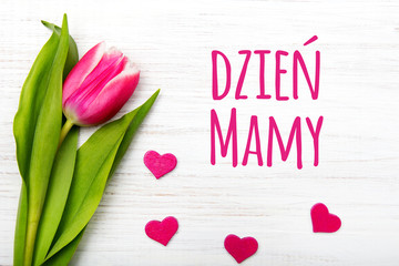 Mother's day card with Polish words: Dzien Matki - Mother's Day. Pink tulip on white wooden background. - 149821775
