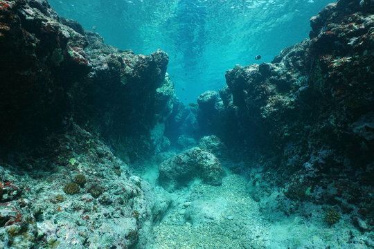 Rocky underwater seascape ocean floor outer reef carved by the waves, Pacific ocean ,Huahine, French Polynesia