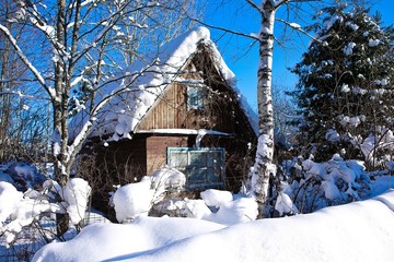 house in forest.winter. berries sun