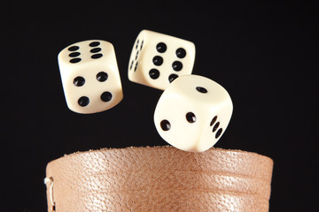 Die Würfel sind gefallen