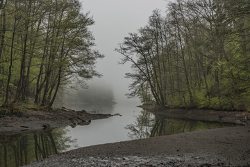 Fog near Liberec reservoir in cloudy morning