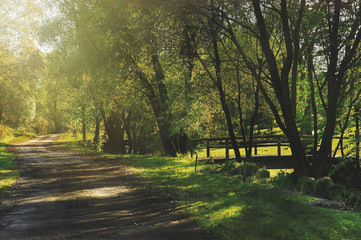 Autumn scene with road. Road in autumn mountains. Beskid Mountains. Poland