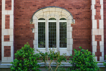 Fototapeta na wymiar Window with Vegetations