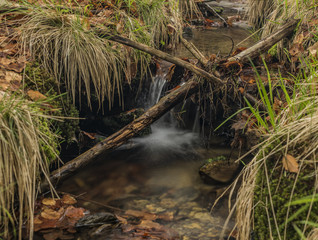 Creek in spring color forest in north Bohemia