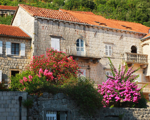 Montenegro