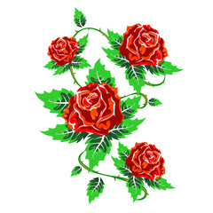Several red roses with leaves