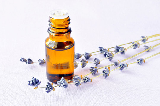 lavender oil and dry flowers