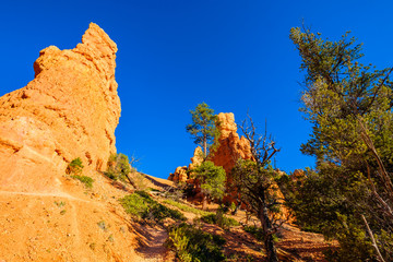 Red Canyon Utah