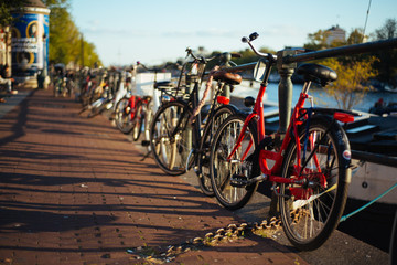 Fototapeta premium Amsterdam bicylcles