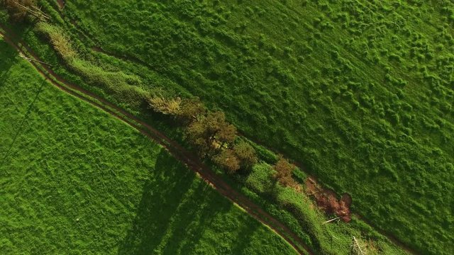 Aerial view over green agricultural fields at Azores, Portugal