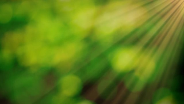 green bokeh sunshine natural background