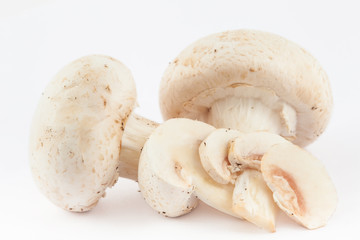 Freshly harvested mushroom (Agaricus bisporus) isolated in white background