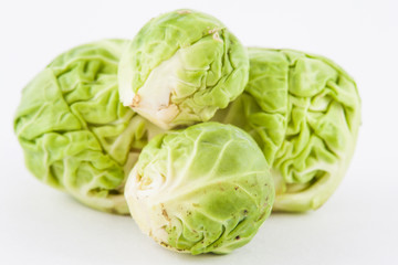 Brussels sprout (Brassica oleracea var. gemmifera) isolated in white background