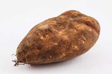 Yacon (Smallanthus sonchifolius) isolated in white background