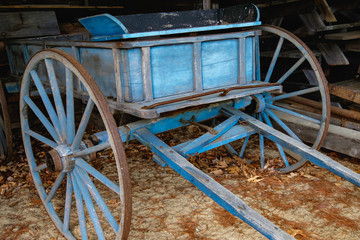 Blue Wagon