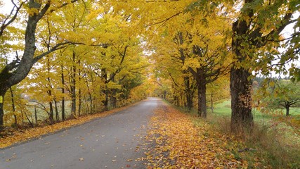 Fall drive through verrmont