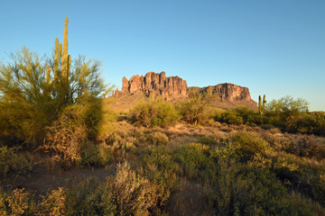 Blick auf die Superstition Mountains vom Lost Dutchman State Park bei Phoenix, Arizona, USA