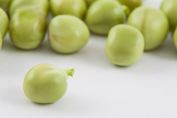 Peas (Pisum sativum) isolated in white background