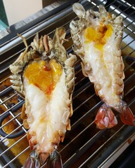 Giant Malaysian prawn on grill