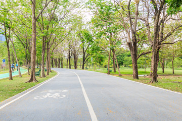 Bike lane in the park