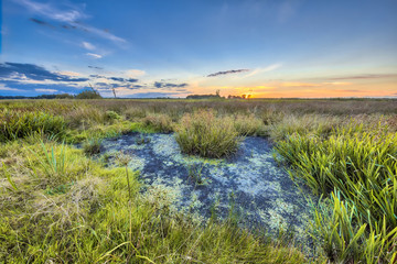 Marshland landscape in Onlanden