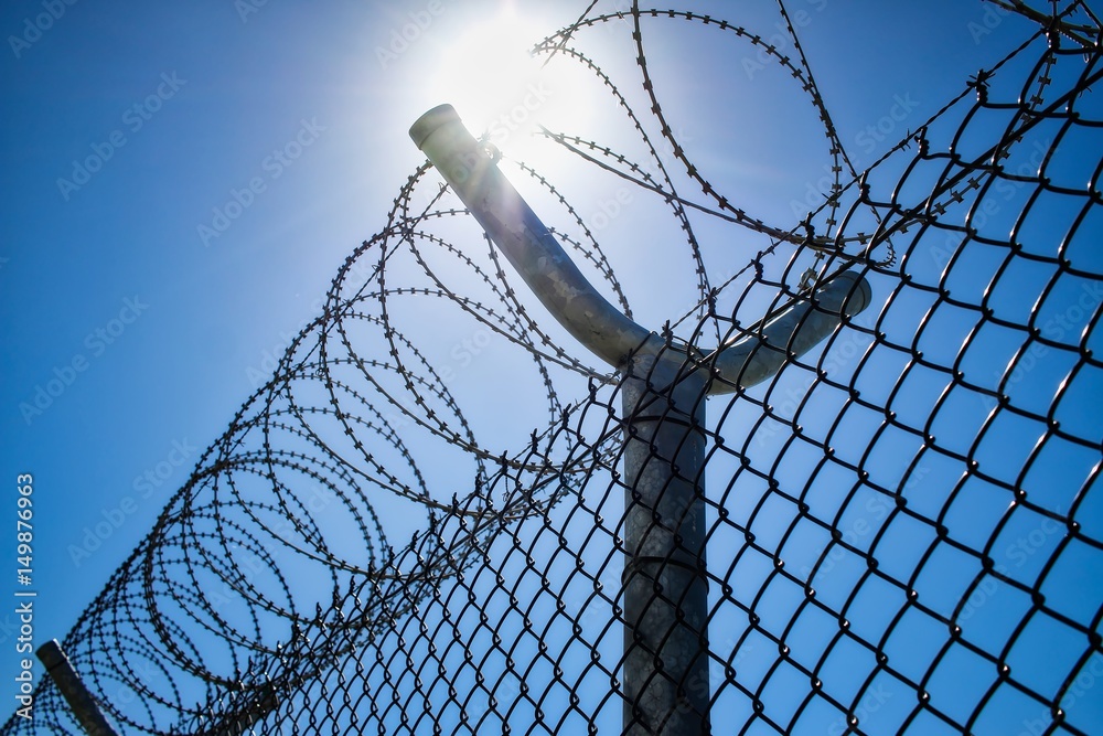 Wall mural coiled barbed wire