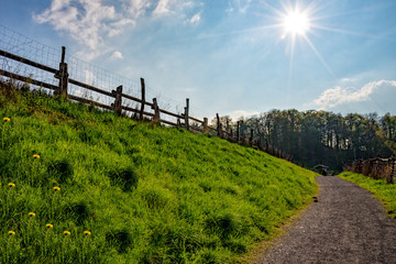 Fototapeta premium Hiking trail through meadows and fields at the sunshine