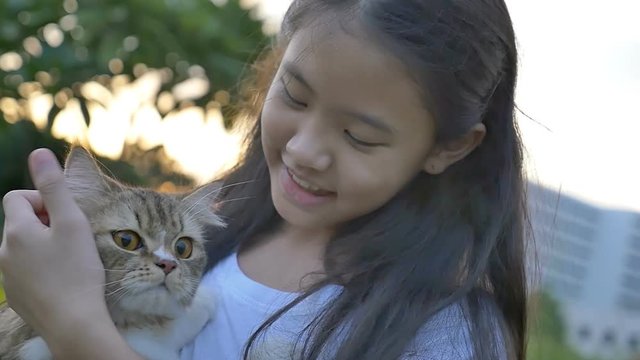 Slow motion of lovely Asian girl plays with her Persian cat in the park