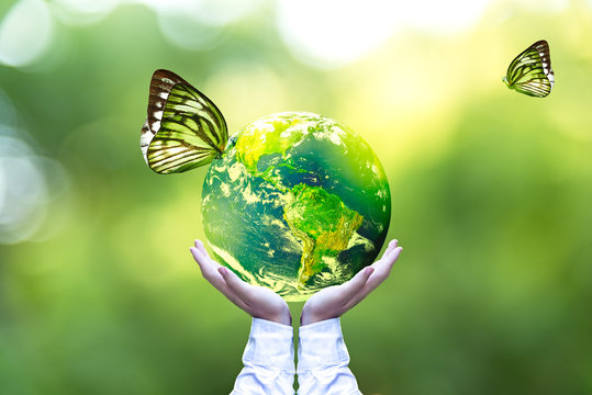 Green world and  butterfly in man hand, green background, Earth image provided by Nasa.