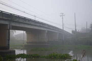 fog in morning at country Thailand
