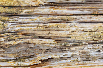 old wood texture with natural patterns background