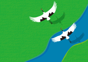 夏　湿原のタンチョウヅル