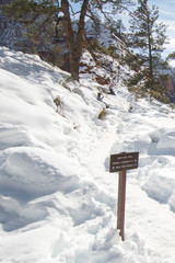 Naklejka premium Trail through snow on Scouts Lookout on Angels Landing Hiking Trail in Zion National Park in Utah USA