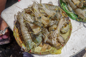 shrimp on the Traditional Market