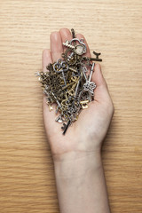 Fototapete bei efototapeten.de bestellen   