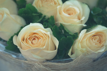 closeup roses bouquet