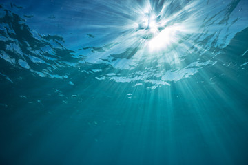 Underwater world discovered with sunbeams shining trought water surface