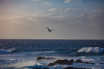 Storming roug ocean water at sunset time
