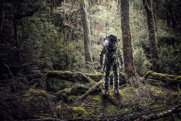 Obraz premium Astronaut in forest